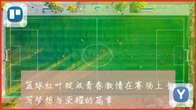 篮球红叶绽放青春激情在赛场上书写梦想与荣耀的篇章