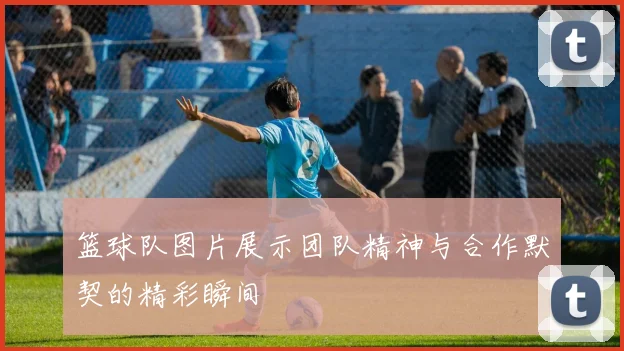 篮球队图片展示团队精神与合作默契的精彩瞬间