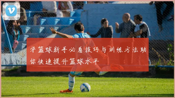 学篮球新手必看技巧与训练方法助你快速提升篮球水平