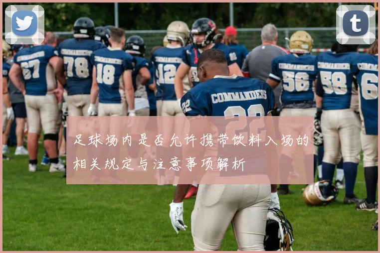 足球场内是否允许携带饮料入场的相关规定与注意事项解析