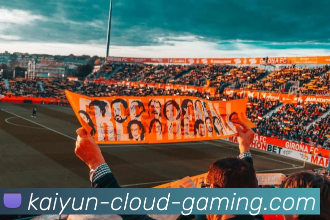 开云官网平台生态图