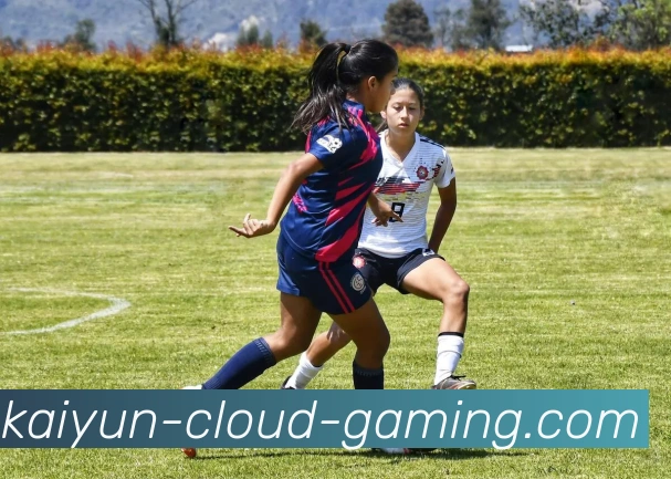 开云官网APP 封面图